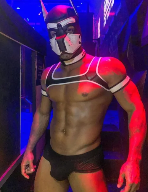 Tony photo 9, latino, curvy, black hair, 178 cm, 83 kg, Hong Kong